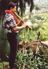 Grand Master Riley Lee at Lawai International Center, Kauai